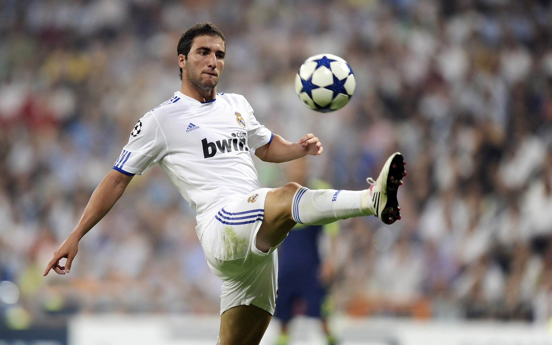 热那亚前锋成功破门，帮助球队取得重要分，热那亚主帅