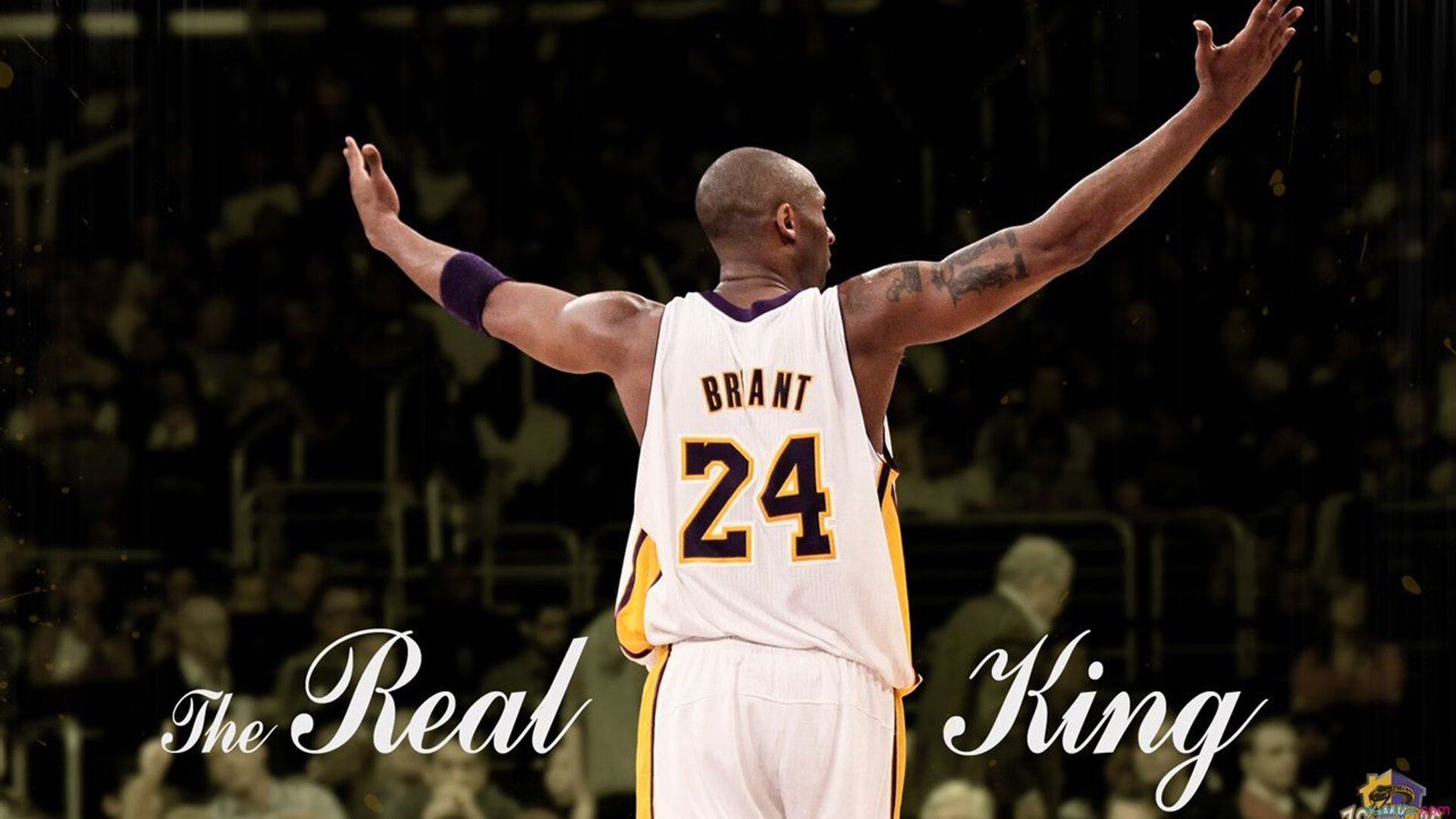 直播分析：专家解读季后赛战局走向，季后赛在线直播